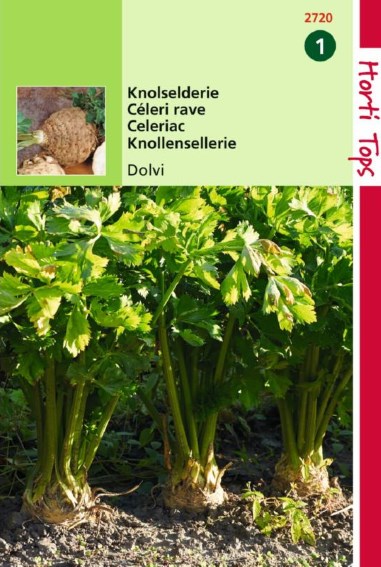Celeriac Dolvi (Apium) 1750 seeds HT